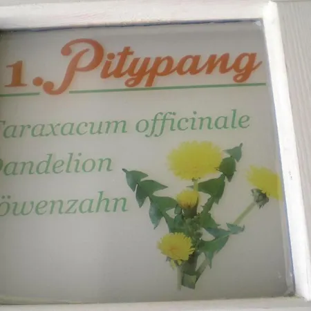 One-bedroom In * Harkány